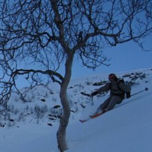 Foto: Ivar Fugle Nordhaug. &Aring;kare: Harald Otterstad.