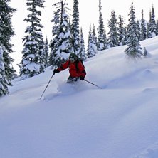Patric pl&ouml;jer f&aring;ror genom det f&auml;rska pudret. Foto: Stefan Vikberg. &Aring;kare: Patric G Renstr&ouml;m.