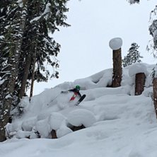 Fin skogs&aring;kning.