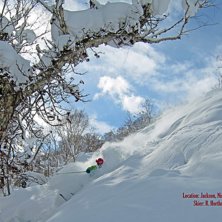 Jackson Area Niseko.