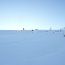 Foto: Johan Johansson. &Aring;kare: Mattias &Aring;berg.