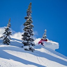 N&auml;r solen v&auml;l kommer fram s&aring; &auml;r det vackert... Foto: Julius Aspman. &Aring;kare: Bj&ouml;rn Daniels.