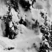 Sebastian besk&auml;r en gran med sina V&ouml;lk Katana. Foto: Rikard Wennberg. &Aring;kare: Sebastian Arnehed.