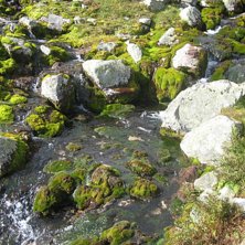 B&auml;ck i Norge.... Foto: Sara Pehrs.