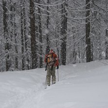 Foto: Jessica Nordlander. &Aring;kare: Andreas Lindroth.