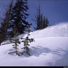 Foto: Fredrik Johansson. &Aring;kare: David Gustafsson.