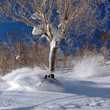 David in Higashi One!.