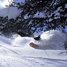 Foto: Yves Garneau. &Aring;kare: Andre Kuhlmann.