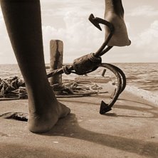 Foto: Sara Henriksson.