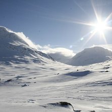 Foto: Henrik Karlsson.