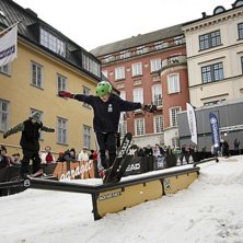 Winter Show i Kungstr&auml;dg&aring;rden 2014.. Foto: Hedda Berander.