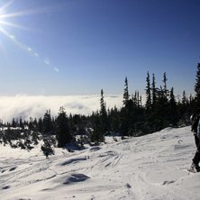 Foto: Juraj Bobocky. &Aring;kare: Baska.