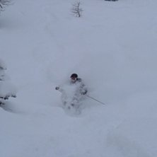 fluff. Foto: joanna. &Aring;kare: joakim boden.