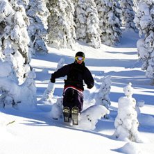 Foto: Filip Angwald. &Aring;kare: Christoffer Sp&aring;ngberg.