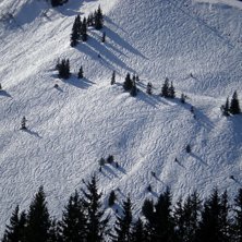 upp&aring;kt. Foto: erik.