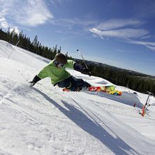 handdrag 1. Foto: a bear. &Aring;kare: Maximilliam Smith.