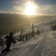 Foto: Helen Andersson. &Aring;kare: Karin Vestberg.