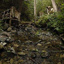 Kurt Sorge l&auml;gger upp hojen &ouml;ver Gold Creak n&auml;r. Foto: Mattias Fredriksson. &Aring;kare: Kurt Sorge.
