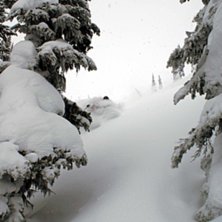 Test&aring;ker &auml;nnu ett par av Lokomotiv Skis i h&auml;rli. Foto: Kalle Fridhiem. &Aring;kare: Anders Lindgren.