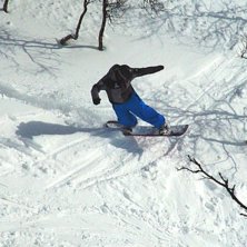 Skogslek. Foto: Marcus Hoverby. &Aring;kare: Andreas H&ouml;jvall.