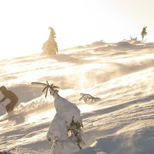 Foto: Stefan Eriksson. &Aring;kare: Ida Helldin.
