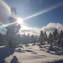 Status &aring;pne bakker
Solen skinner og det er gode f.