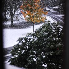 H&auml;rligt att se sn&ouml;n falla f&ouml;r f&ouml;rsta g&aring;ngen d. Foto: Erik Lidas Lidstr&ouml;m.