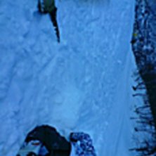 hamra. Foto: adina israelsson.