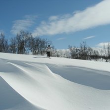 Soligt och fluffigt. Foto: Axel. &Aring;kare: Simon Blom.