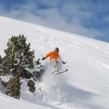 Foto: Alexander Palm. &Aring;kare: krills.