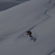 Foto: Olle Joelsson.