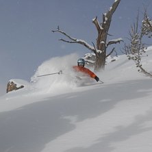 Foto: Hans H&ouml;rfelt. &Aring;kare: Pelle Gustavsson.