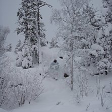 Gott med sn&ouml;!!. Foto: Per Andersson. &Aring;kare: Jonas Andersson.
