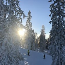 Romme Alpin Foto