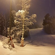 Masse natursn&oslash;!
Vi har f&aring;tt naturlig sn&oslash;fall de.