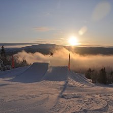 Foto: Arvid Sandberg.