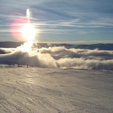 mmm. Foto: maja r&ouml;dstr&ouml;m.