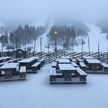 Det sn&oslash;r, det s&oslash;r!
❄️️&Aring;ret har startet me.