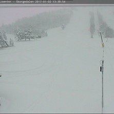 Vi har satt i gang tr&aring;kking igjen
Det siste 1,5 d.