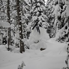 Foto: Rikard Landrin. Foto: Rikard Landrin.