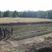 en del av v&aring;ran nybyggda dirt bana.. Foto: arvid  (jag).