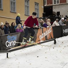 Winter Show i Kungstr&auml;dg&aring;rden 2014.. Foto: Hedda Berander.
