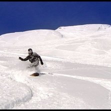Puder puder puder. Foto: Joel Liedbergius. &Aring;kare: Jonas Sj&ouml;lin.