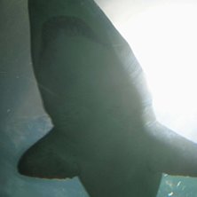 Monster!. Foto: Karolina. &Aring;kare: karolina.