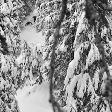 Foto: Erik Lidas Lidstr&ouml;m. &Aring;kare: Ole-Kristian Str&ouml;m.