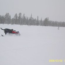 Foto: h&aring;kan djurmark. &Aring;kare: Fredrik de Mar&eacute;.
