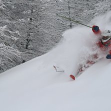 Riktigt go dag i skogen p&aring; Sunegga systemet. Mass. Foto: Adam Jonsson. &Aring;kare: Robin Ljungqwist.