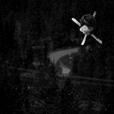 9a mute i b&ouml;rjan p&aring; maj i tand&aring;dalen. Foto: Torgny Tidstrand. &Aring;kare: Jesper Guldbrand.