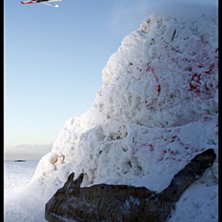 Gesundteam&auml;. Foto: Kristoffer Lindgren. &Aring;kare: Jacob Gustavsson.