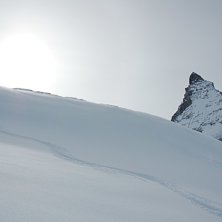 Foto: Johan Ekvall. &Aring;kare: Molle, Tuborg, Bernthe och Ulven.
